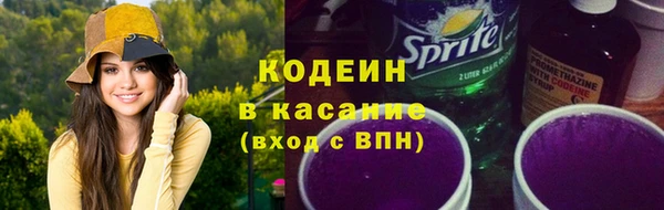 дурь Инсар