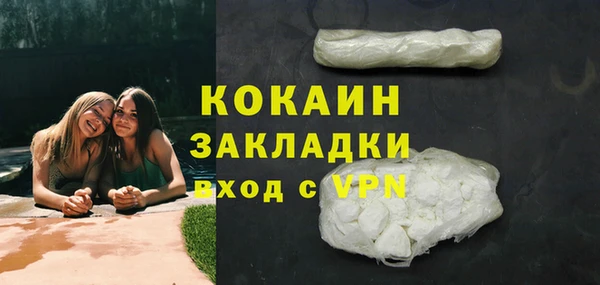 дурь Инсар