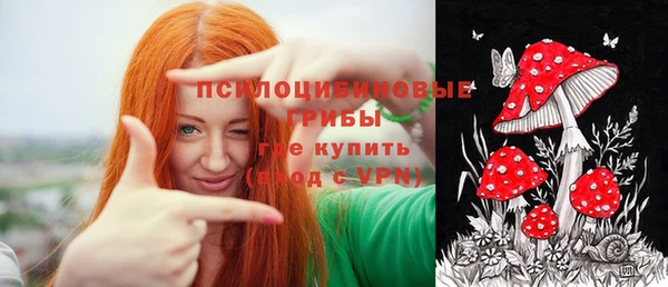 каннабис Инта